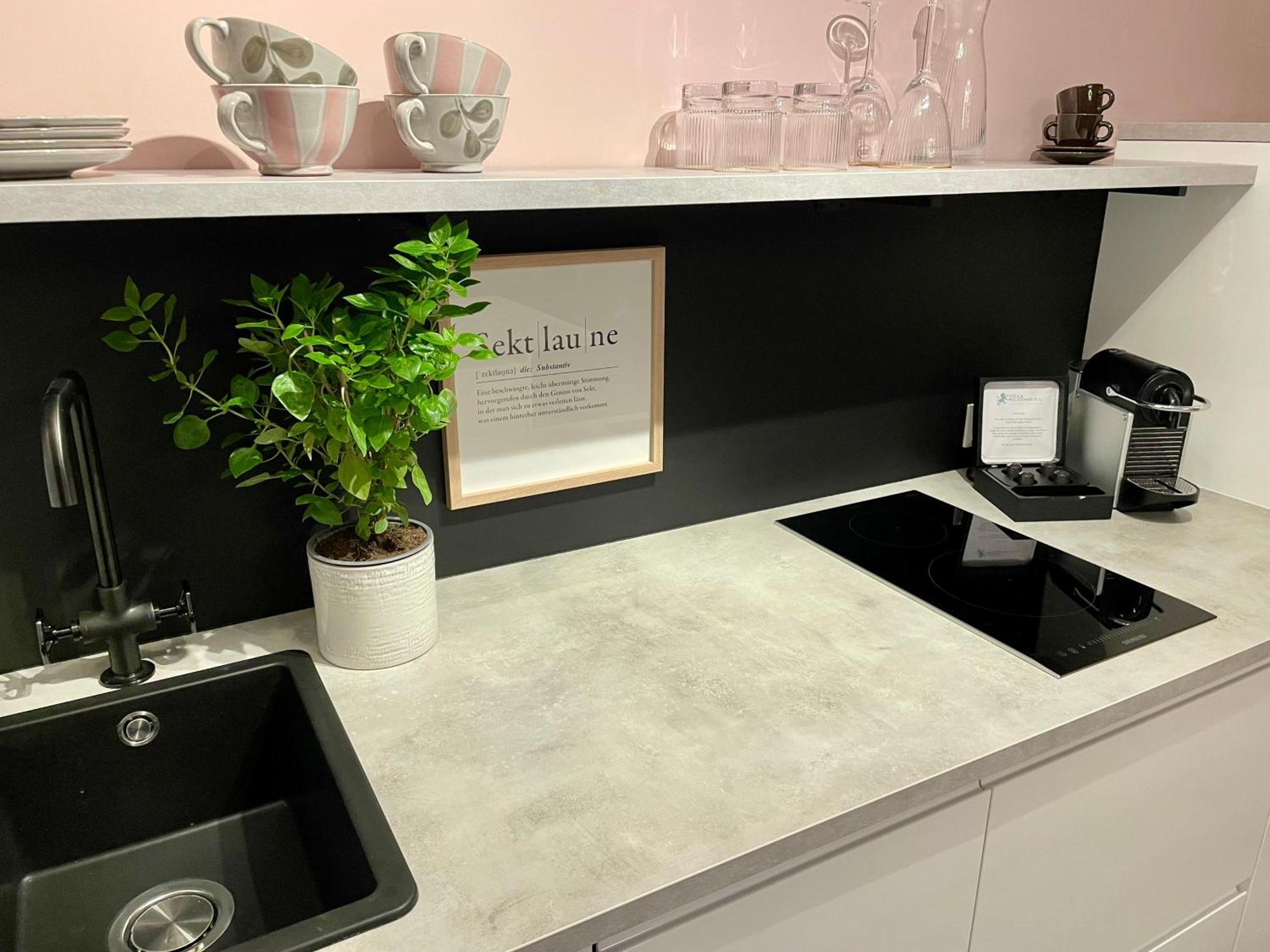 Villa Wickenburg 萨尔茨堡 外观 照片